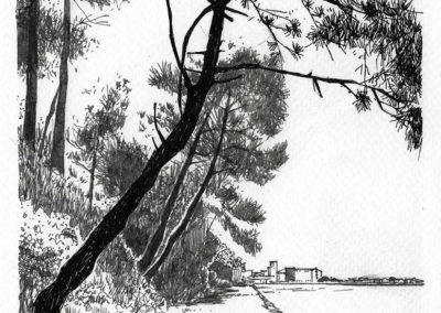 Chemin de hallage - Anglet