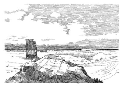 Dunes de madrague - Tarnos
