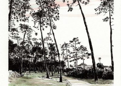 Forêt de Chiberta - Anglet