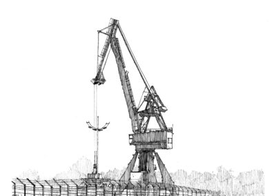 Grue de Blancpignon - Anglet