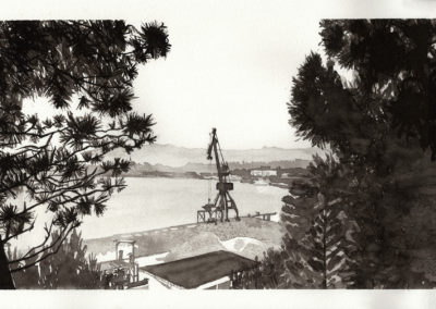 Grue du soufre - Anglet