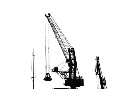 Grues sur l'Adour - Tarnos