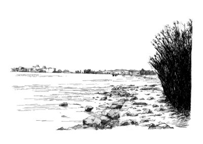 Marée basse - Boucau